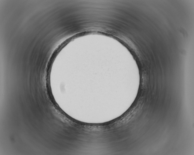 X0000112411020200909251451