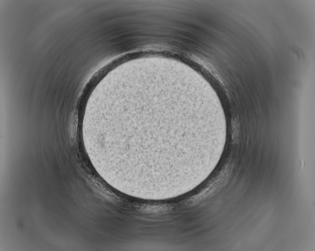 X0000112411021200909251451