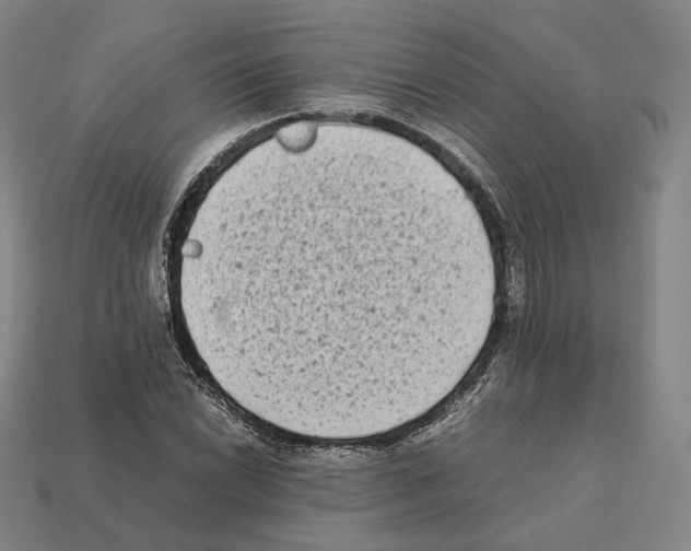 X0000112411022200909251451