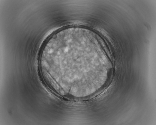 X0000112411024200909251451