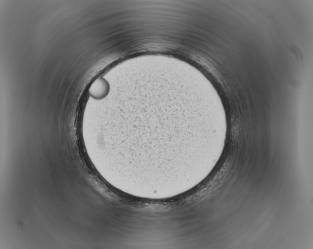 X0000112411026200909251451
