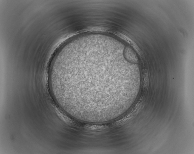 X0000112411027200909251451