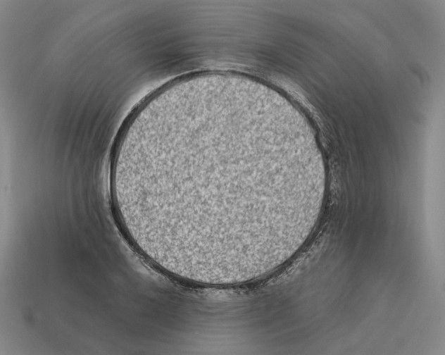 X0000112411032200909251452