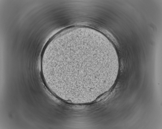 X0000112411036200909251452