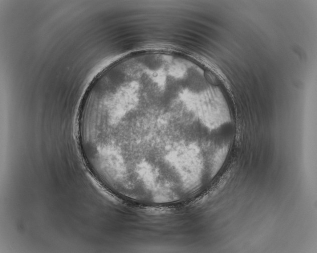 X0000112411037200909251452
