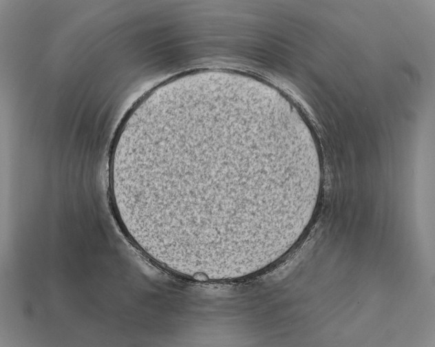 X0000112411040200909251452