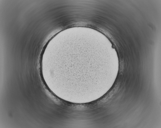 X0000112411042200909251452