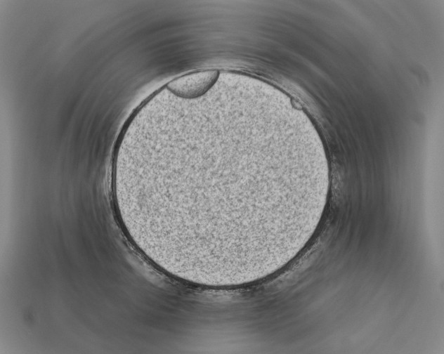 X0000112411044200909251452
