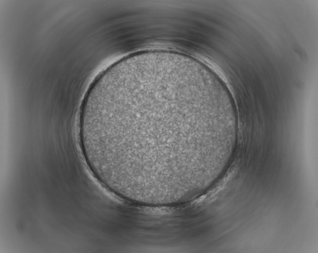 X0000112411045200909251452