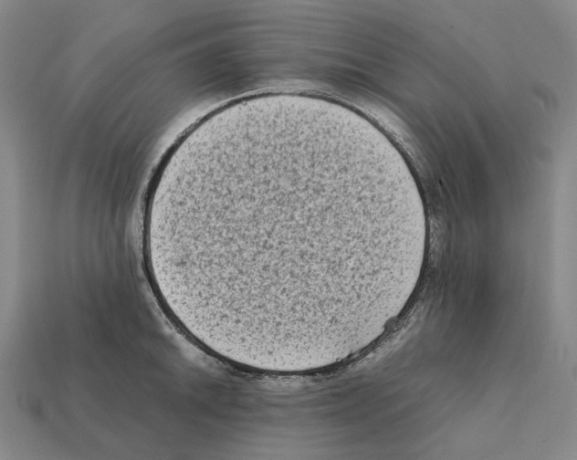 X0000112411046200909251452
