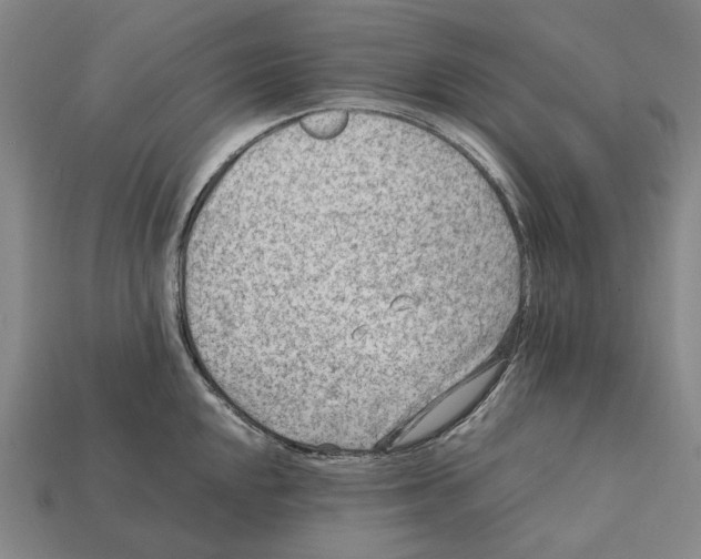 X0000112411048200909251452