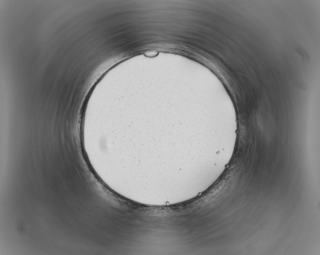 X0000112411050200909251452