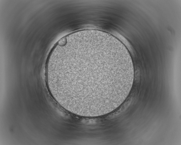 X0000112411051200909251452