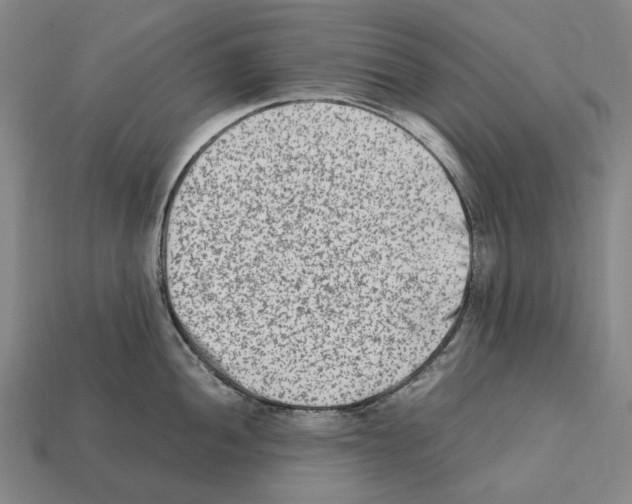 X0000112411052200909251452