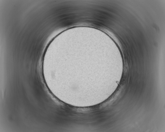 X0000112411053200909251452