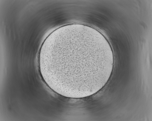 X0000112411056200909251452