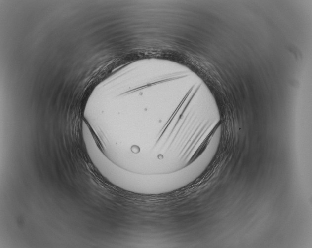 X0000112411060200909251451