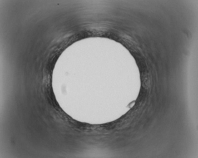 X0000112411061200909251451