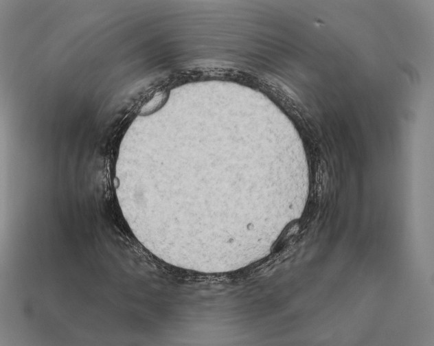 X0000112411062200909251451