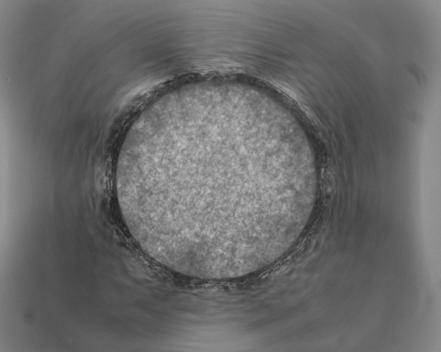 X0000112411063200909251451
