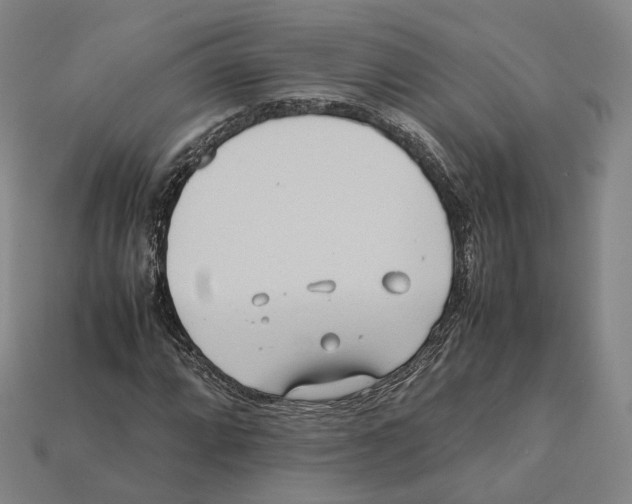 X0000112411064200909251451
