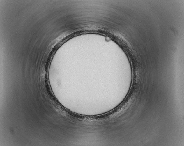 X0000112411065200909251451