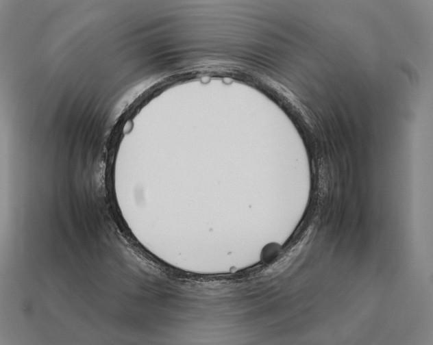 X0000112411066200909251451