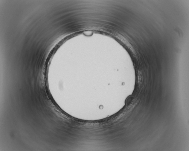X0000112411068200909251451
