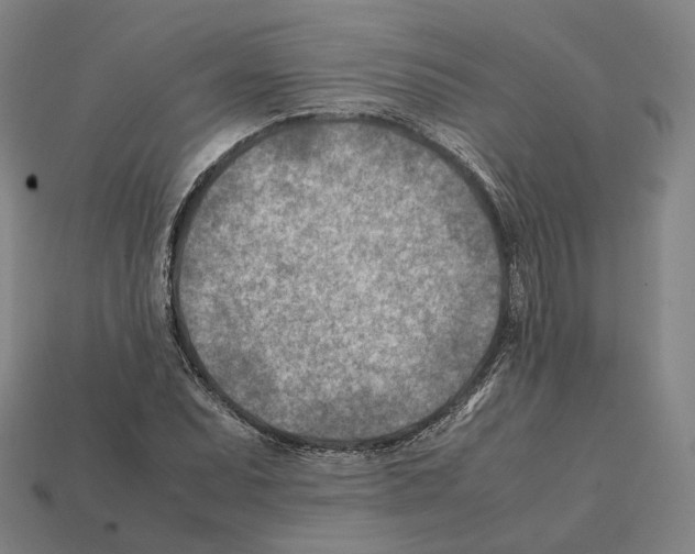 X0000112411071200909251451