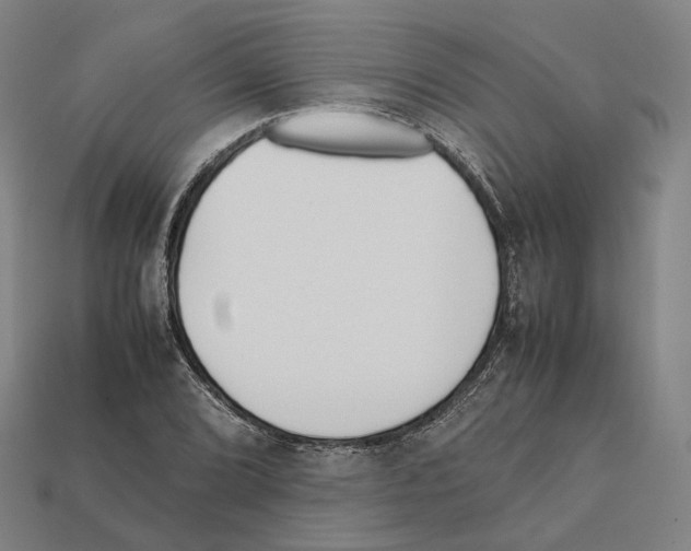 X0000112411072200909251451
