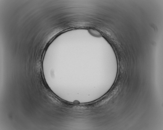 X0000112411073200909251451