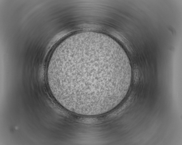 X0000112411074200909251451