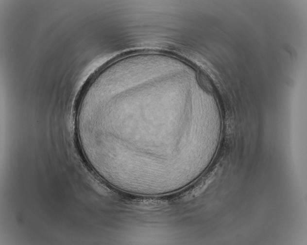X0000112411077200909251451