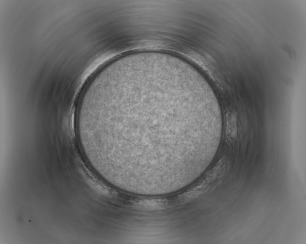X0000112411078200909251451