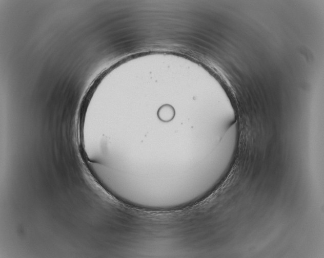 X0000112411080200909251451