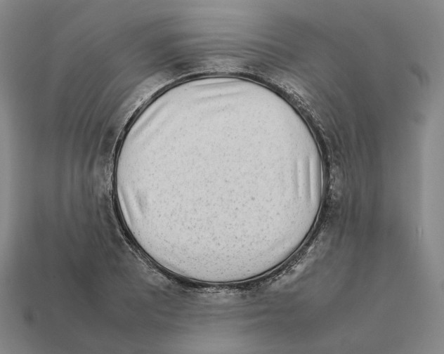 X0000112411081200909251451