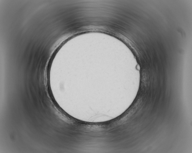 X0000112411082200909251451