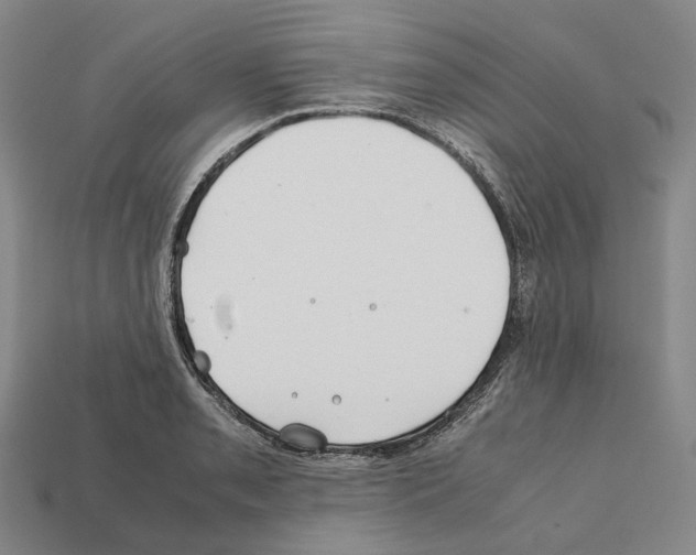 X0000112411085200909251451