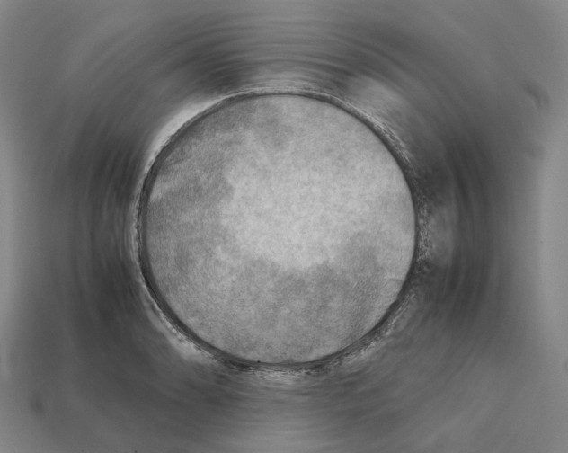 X0000112411086200909251451