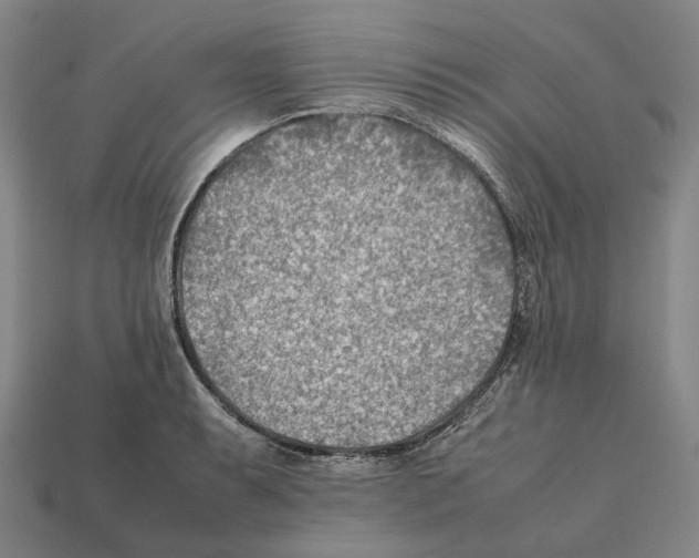 X0000112411087200909251451