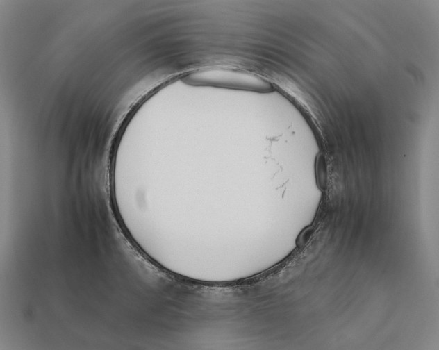 X0000112411088200909251451
