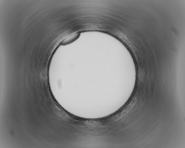 X0000112411089200909251451