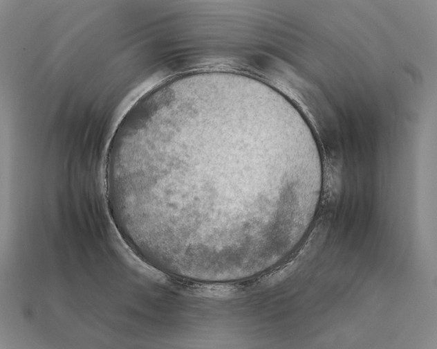 X0000112411090200909251451