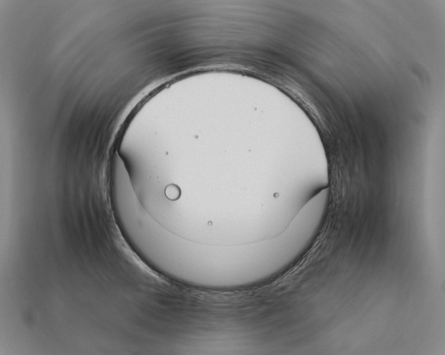 X0000112411092200909251451