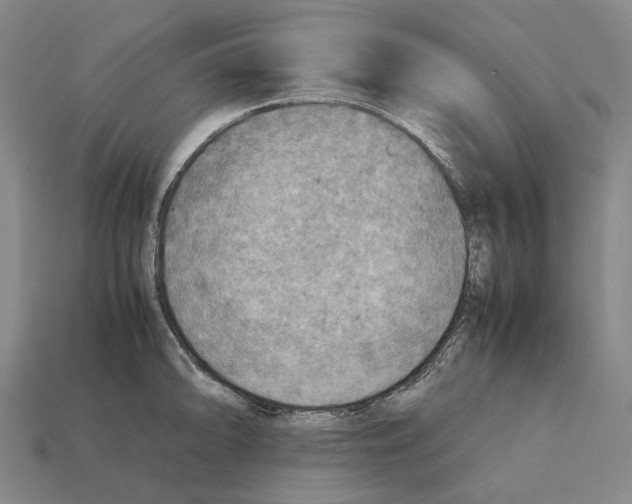 X0000112411094200909251451