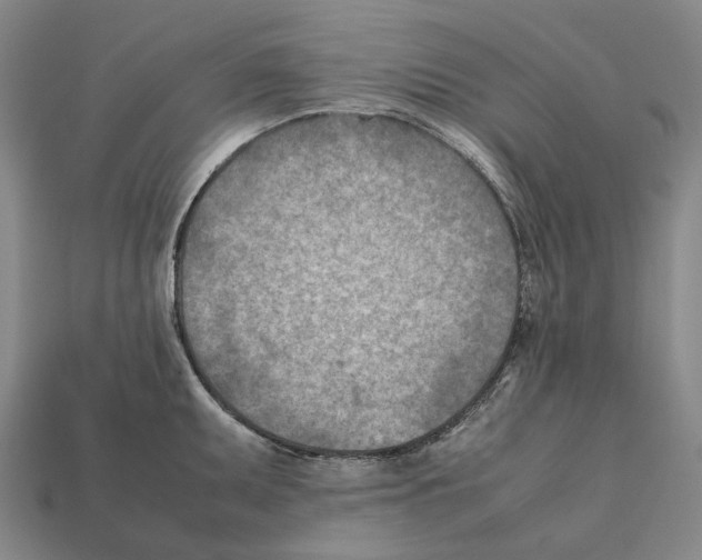 X0000112411095200909251451