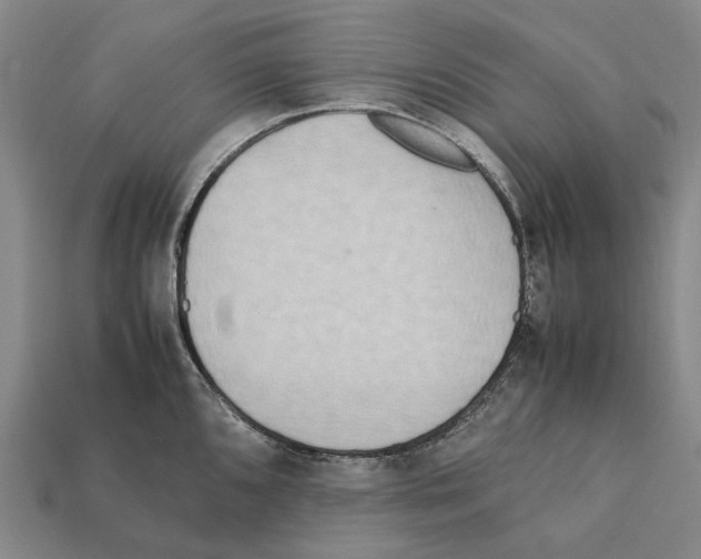 X0000112411096200909251451