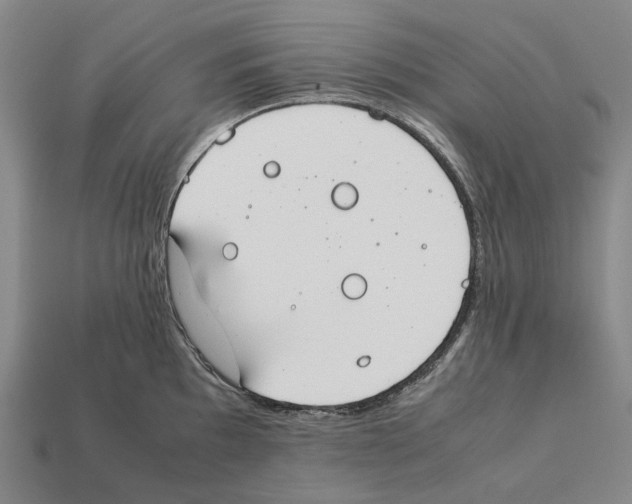 X0000112411097200909251451