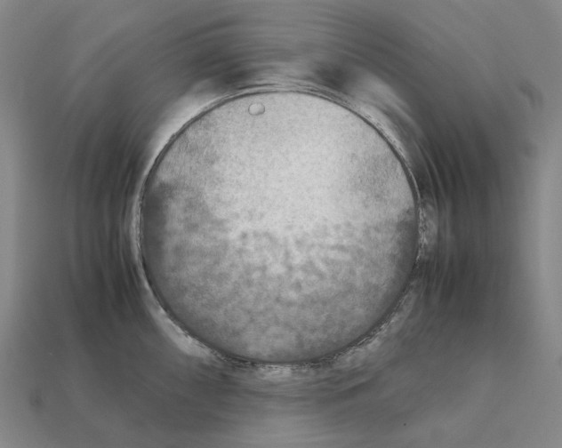 X0000112411098200909251451