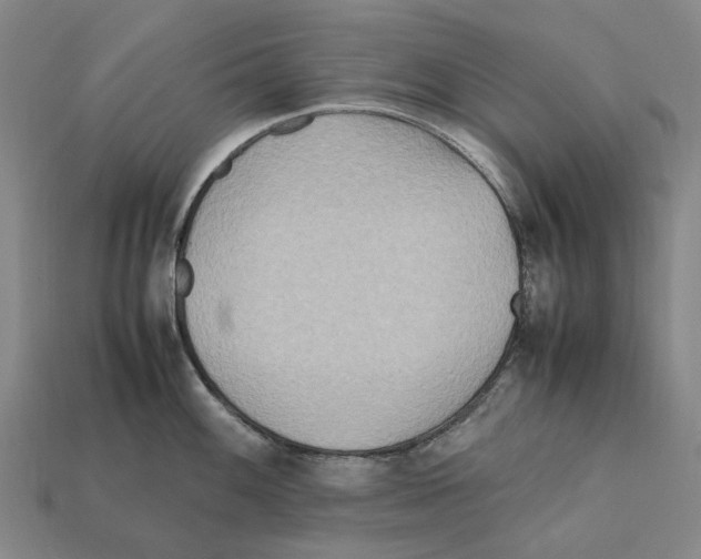 X0000112411100200909251451